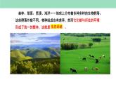 3.1生态系统的结构第1课时课件2022-2023学年高二上学期生物人教版选择性必修2