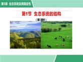 3.1生态系统的结构第1课时课件2022-2023学年高二上学期生物人教版选择性必修2
