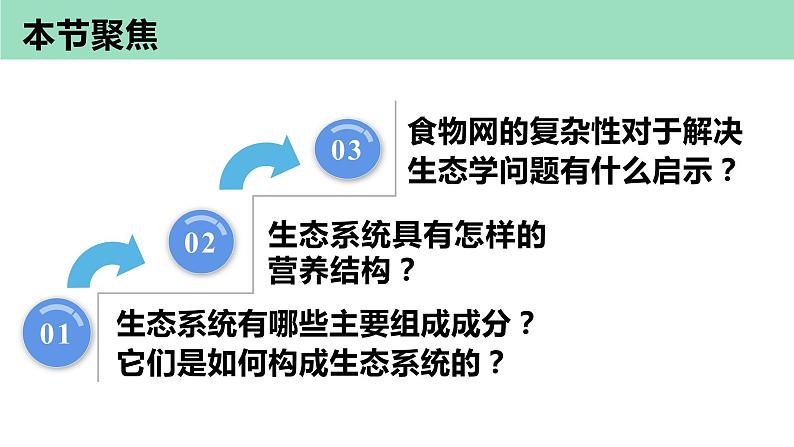 3.1生态系统的结构第1课时课件2022-2023学年高二上学期生物人教版选择性必修2第4页