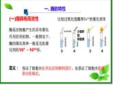 5.1.2降低化学反应活化能的酶课件2022-2023学年高一上学期生物人教版必修1