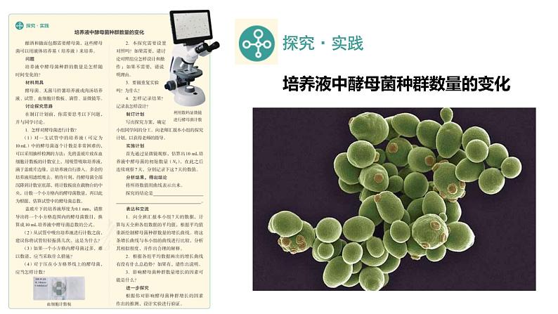 1.2种群数量的变化第2课时课件2022-2023学年高二上学期生物人教版选择性必修2第2页