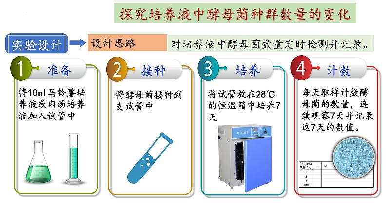 1.2种群数量的变化第2课时课件2022-2023学年高二上学期生物人教版选择性必修2第4页