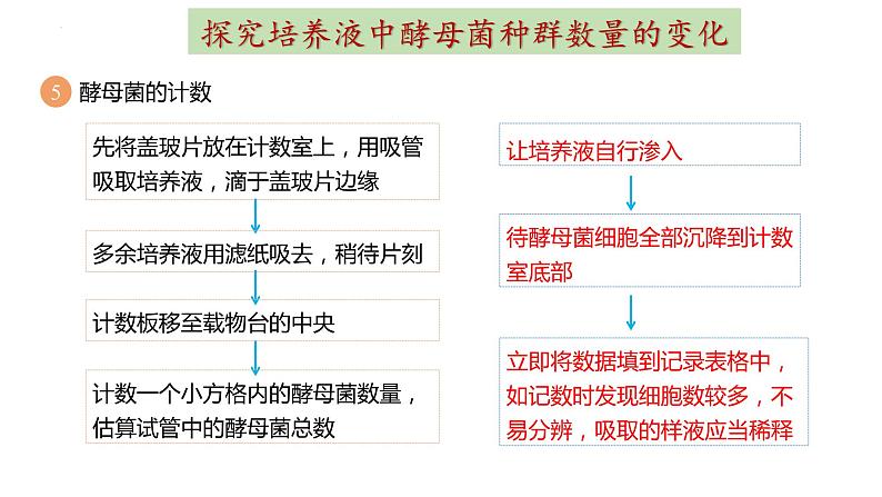 1.2种群数量的变化第2课时课件2022-2023学年高二上学期生物人教版选择性必修2第5页