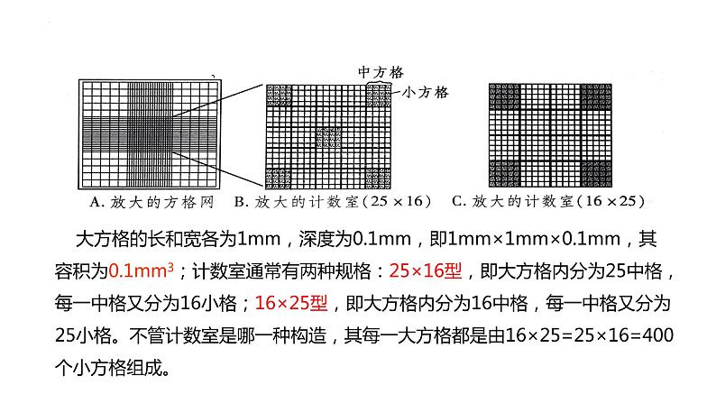 1.2种群数量的变化第2课时课件2022-2023学年高二上学期生物人教版选择性必修2第7页