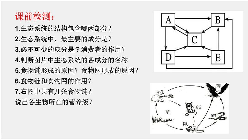 3.2生态系统的能量流动课件-2022-2023学年高二上学期生物人教版（2019）选择性必修2第1页