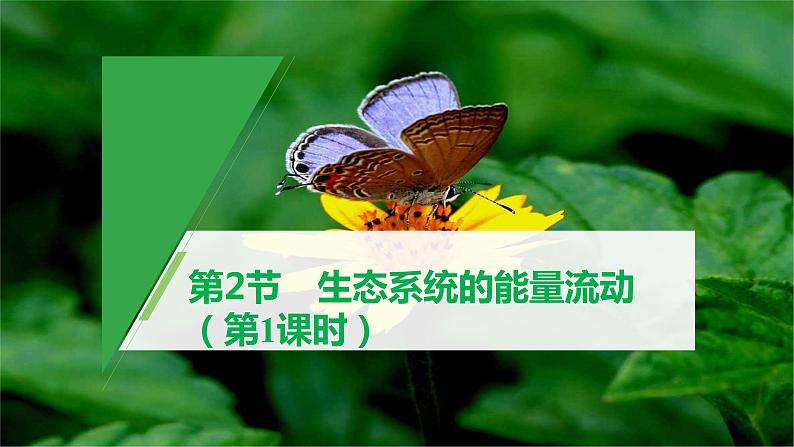 3.2生态系统的能量流动课件-2022-2023学年高二上学期生物人教版（2019）选择性必修2第2页