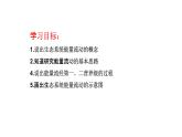 3.2生态系统的能量流动课件-2022-2023学年高二上学期生物人教版（2019）选择性必修2