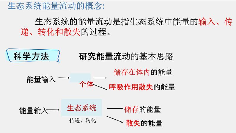 3.2生态系统的能量流动课件-2022-2023学年高二上学期生物人教版（2019）选择性必修2第4页