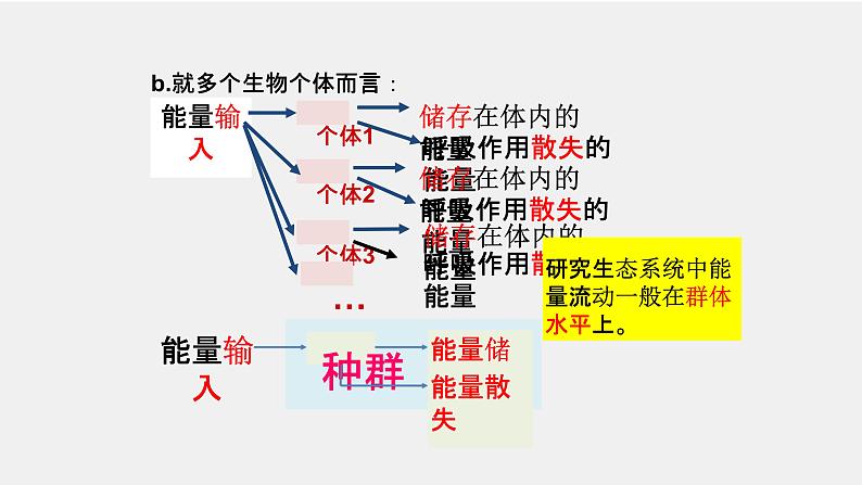 3.2生态系统的能量流动课件-2022-2023学年高二上学期生物人教版（2019）选择性必修2第5页