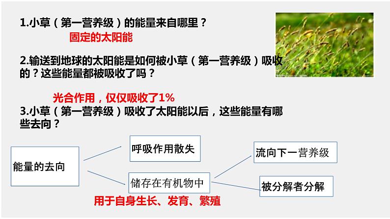 3.2生态系统的能量流动课件-2022-2023学年高二上学期生物人教版（2019）选择性必修2第7页