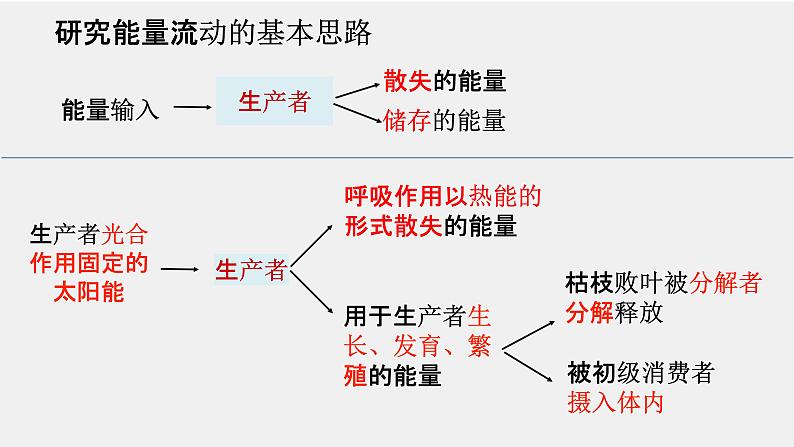 3.2生态系统的能量流动课件-2022-2023学年高二上学期生物人教版（2019）选择性必修2第8页