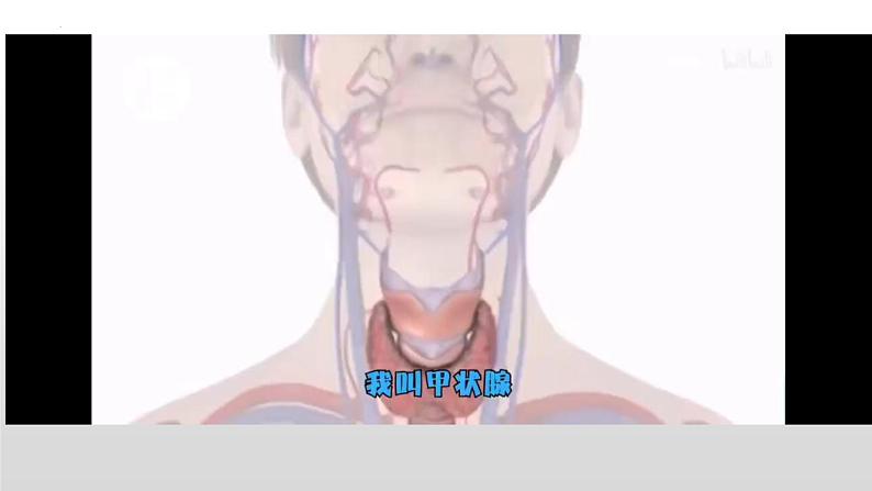 4.2主动运输与胞吞胞吐课件-2022-2023学年高一上学期生物人教版（2019）必修1第2页