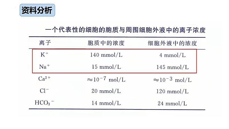 4.2主动运输与胞吞胞吐课件-2022-2023学年高一上学期生物人教版（2019）必修1第5页