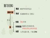 5.1.2降低化学反应活化能的酶课件2021-2022学年高一上学期生物人教版必修1