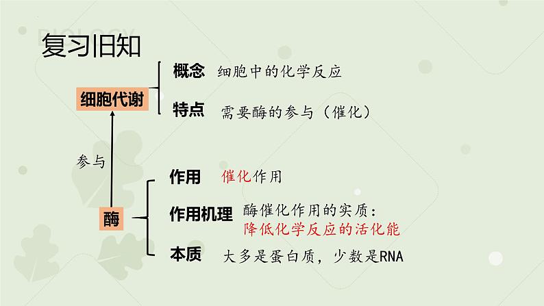 5.1.2降低化学反应活化能的酶课件2021-2022学年高一上学期生物人教版必修1第2页