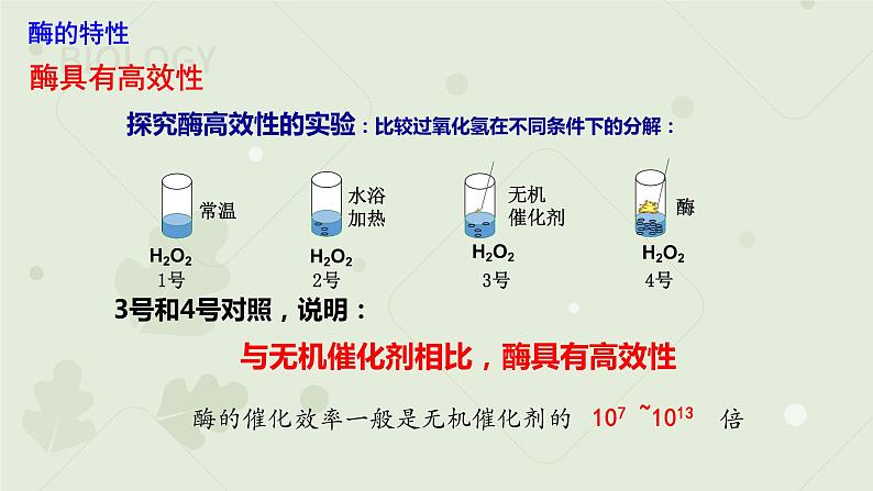 5.1.2降低化学反应活化能的酶课件2021-2022学年高一上学期生物人教版必修1第5页