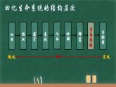 3.1生态系统的结构课件-2022-2023学年高二上学期生物人教版（2019）选择性必修2