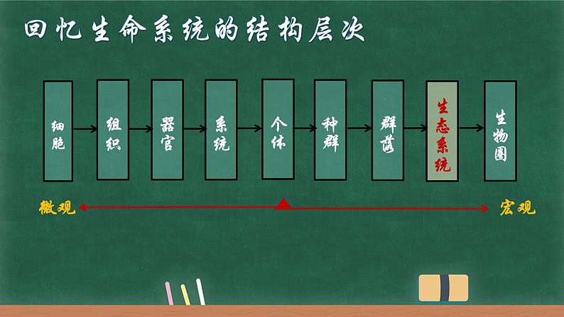 3.1生态系统的结构课件-2022-2023学年高二上学期生物人教版（2019）选择性必修2第3页