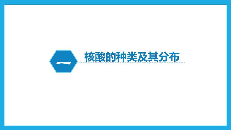 2.5核酸是遗传信息的携带者课件2022-2023学年高一上学期生物人教版必修1第3页