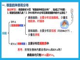 2.5核酸是遗传信息的携带者课件2022-2023学年高一上学期生物人教版必修1