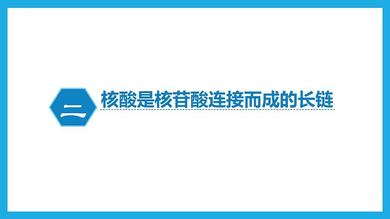 2.5核酸是遗传信息的携带者课件2022-2023学年高一上学期生物人教版必修1第5页