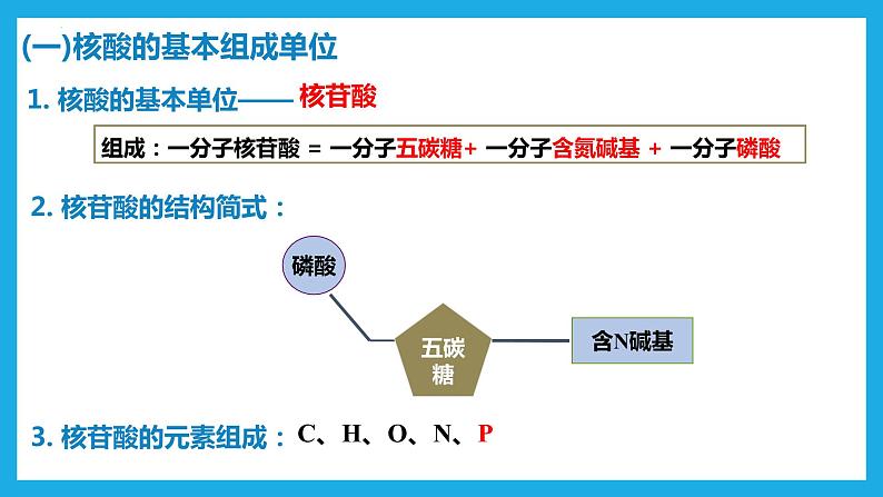 2.5核酸是遗传信息的携带者课件2022-2023学年高一上学期生物人教版必修1第7页