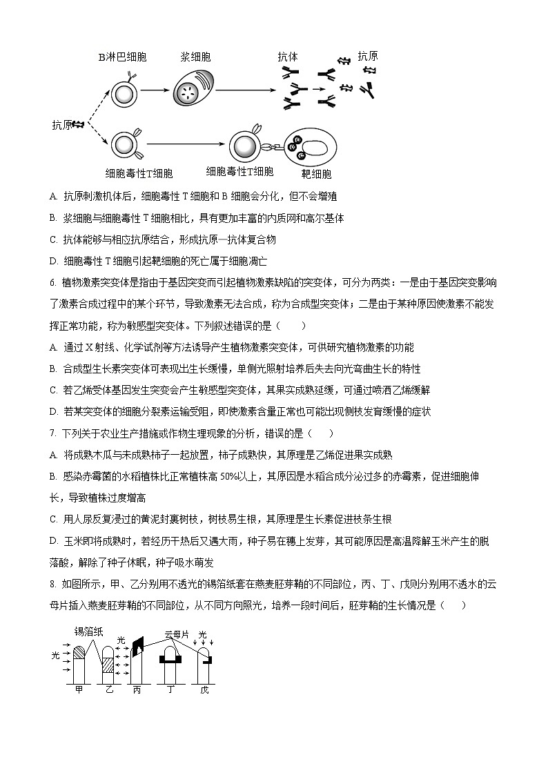 山东省枣庄市第三中学2022-2023学年高二12月月考生物试题第2页