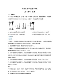 2023滨州高新高级中学高一上学期期中考试生物试题含解析