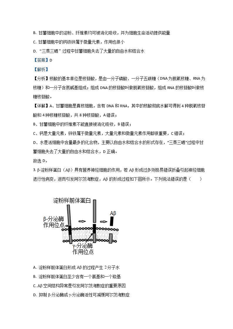 2023滨州高新高级中学高一上学期期中考试生物试题含解析02