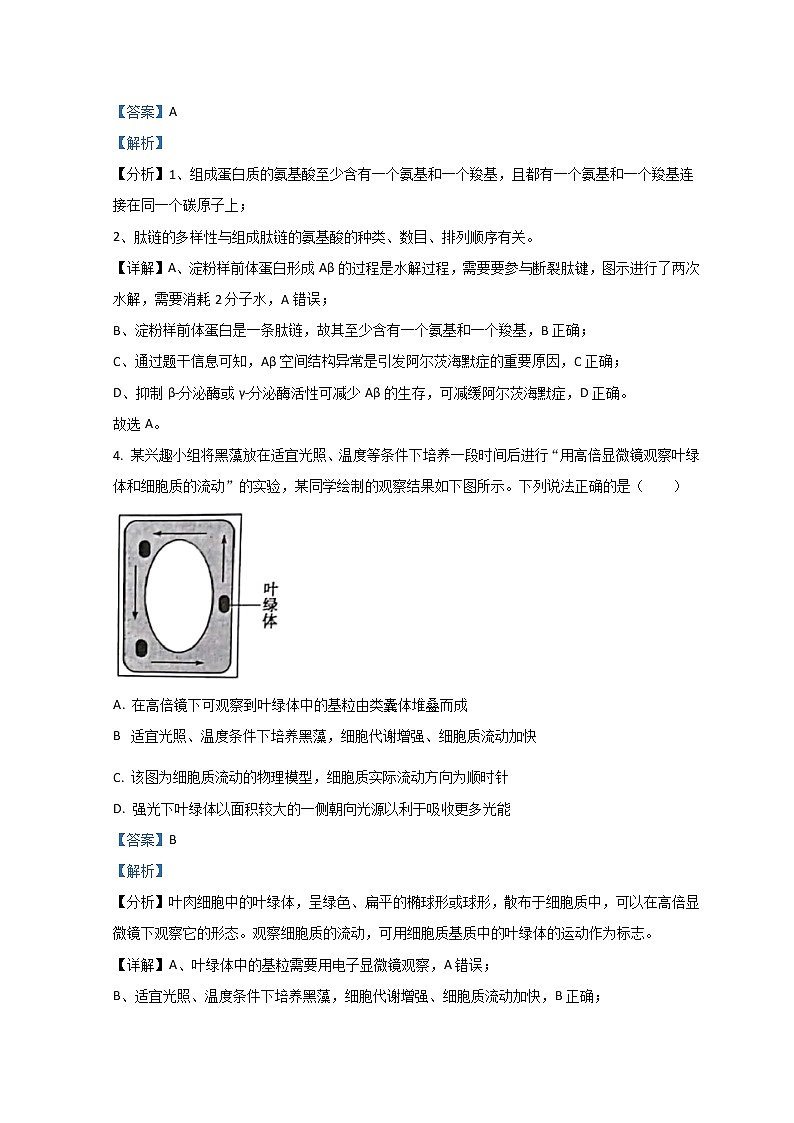 2023滨州高新高级中学高一上学期期中考试生物试题含解析03