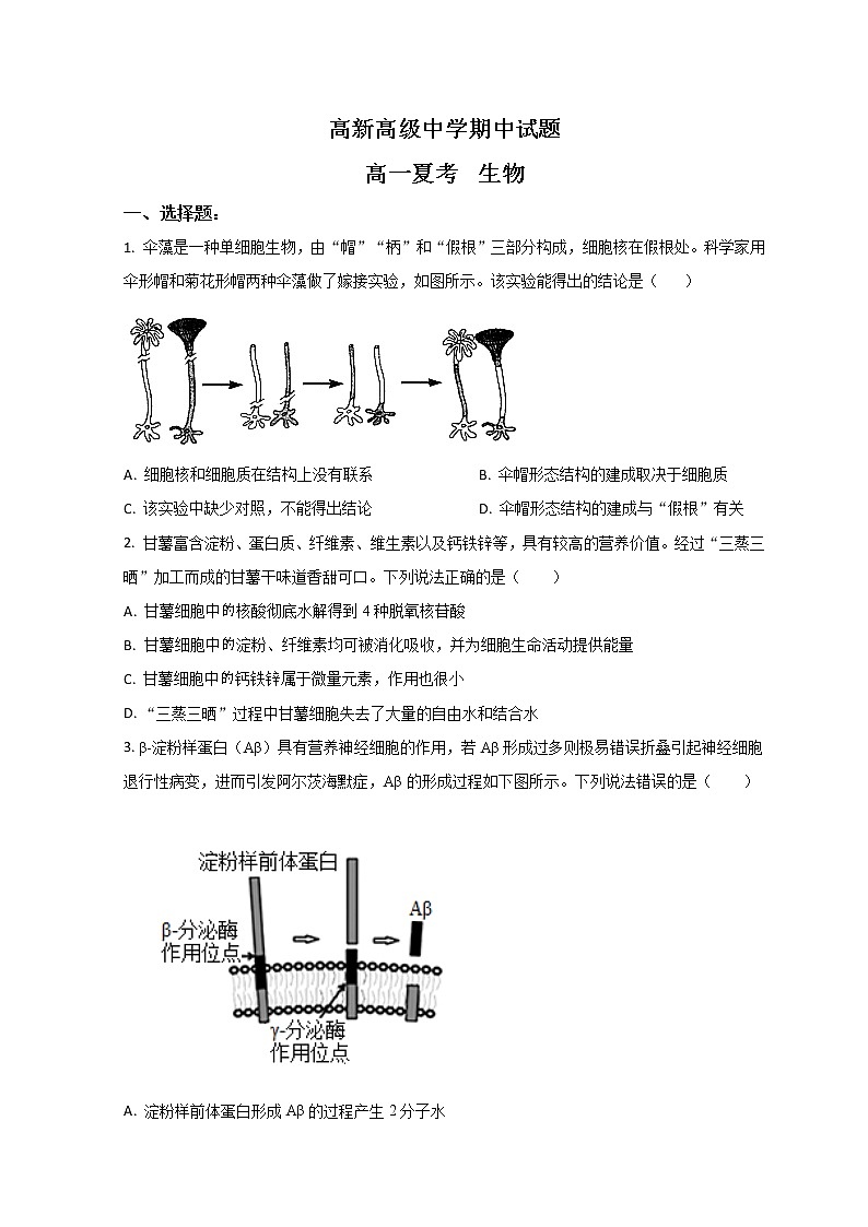 2023滨州高新高级中学高一上学期期中考试生物试题含解析01
