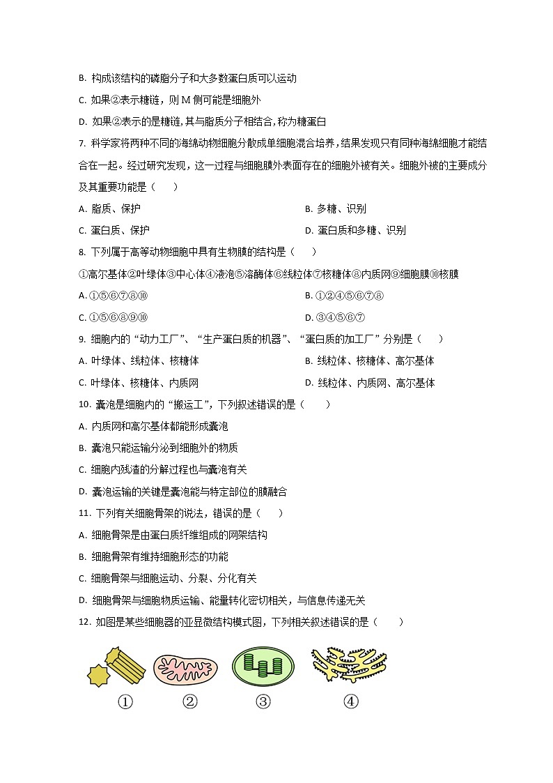 2023滨州高新高级中学高一上学期期中考试生物试题含解析03