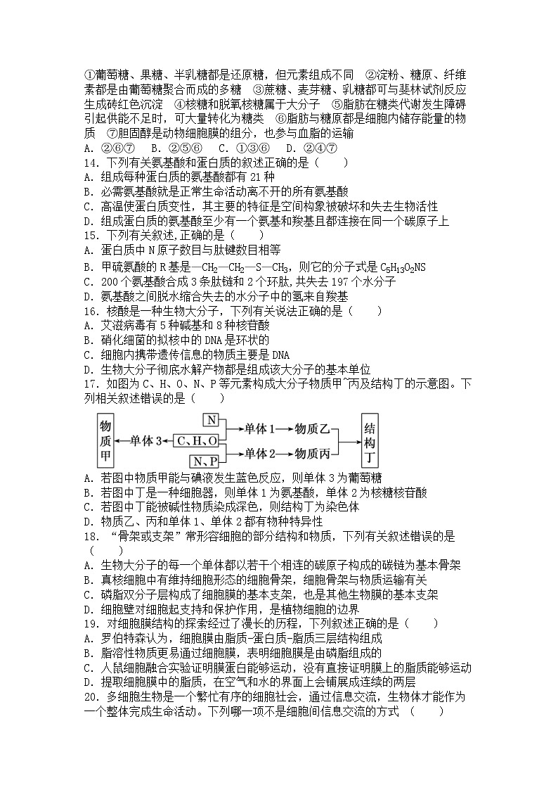 2023重庆市三峡名校联盟高一上学期秋季联考试题生物含答案03