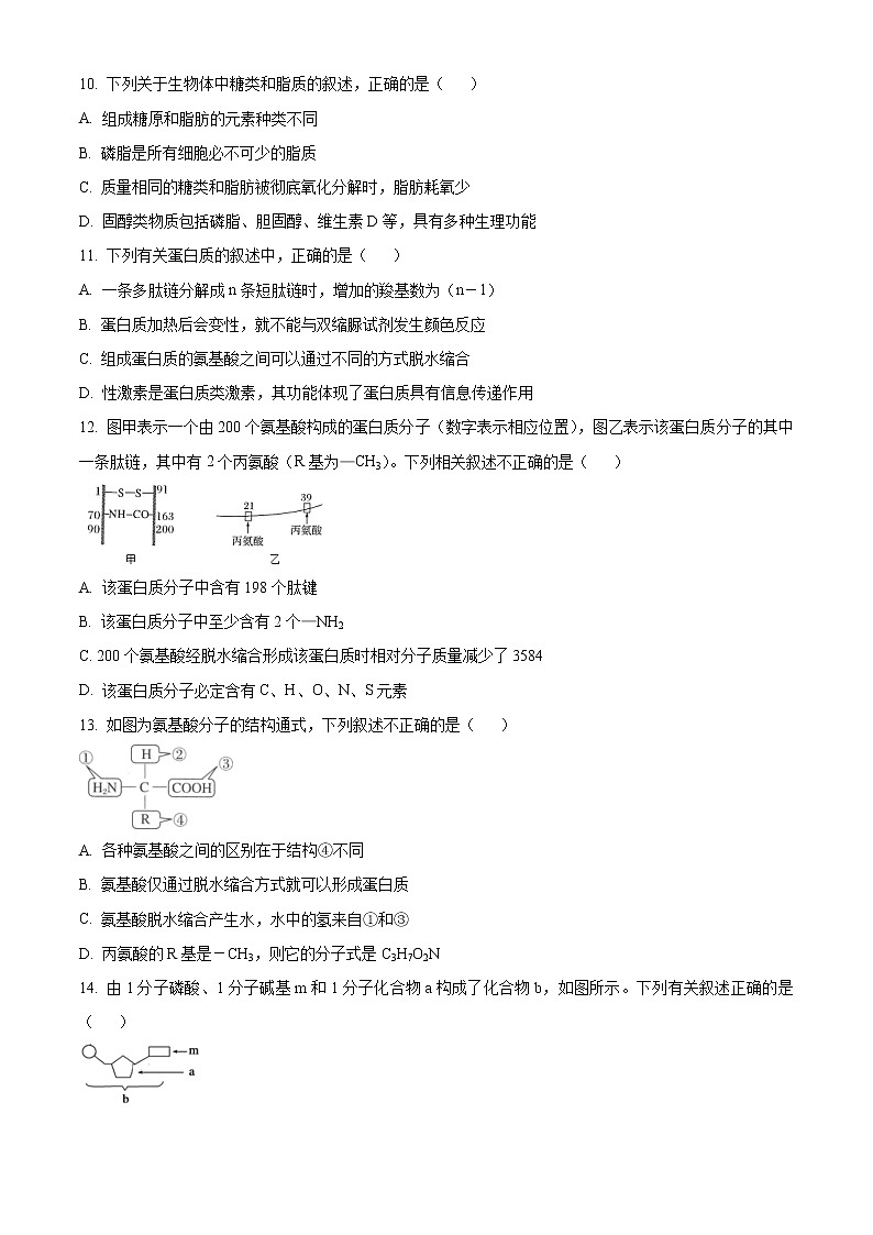 2023广安二中高一上学期第二次月考生物试题含解析03