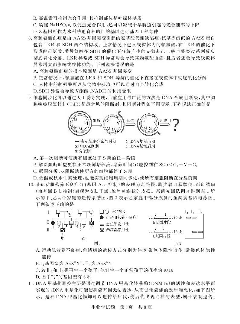 2022高三第一次T8联考T8联考 生物试卷第3页