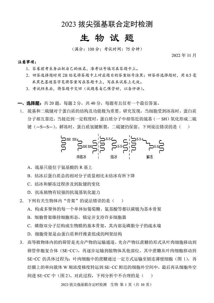 2023重庆西南大学附属中学高三11月拔尖强基联合定时检测生物试卷01
