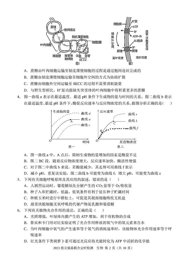 2023重庆西南大学附属中学高三11月拔尖强基联合定时检测生物试卷02