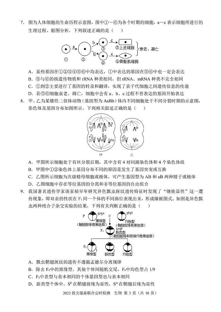 2023重庆西南大学附属中学高三11月拔尖强基联合定时检测生物试卷03