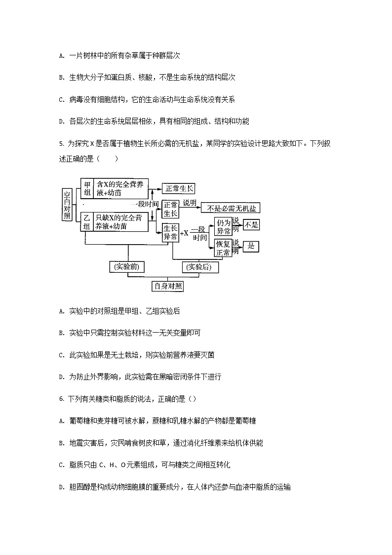 2021-2022学年黑龙江省勃利县高级中学高一上学期9月月考生物试卷含答案第2页