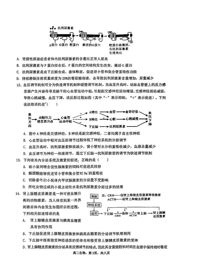 2022-2023学年河南省驻马店开发区高二上学期11月期中考试生物PDF版含答案03