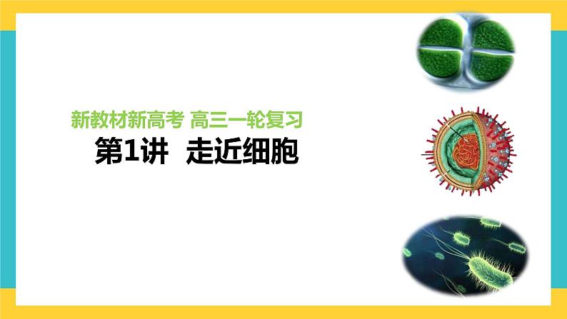 【高考一轮专题复习】高考生物专题复习——第1讲《走近细胞》复习课件（全国通用）第1页