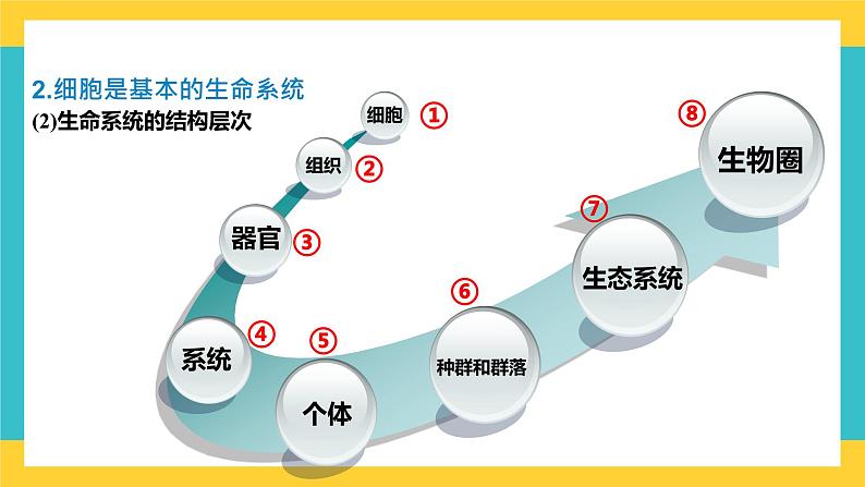 【高考一轮专题复习】高考生物专题复习——第1讲《走近细胞》复习课件（全国通用）第6页