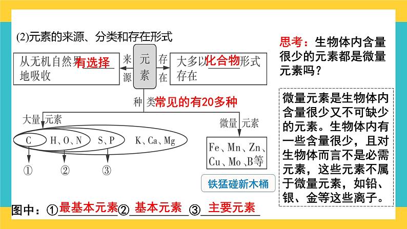 【高考一轮专题复习】高考生物专题复习——第2讲《细胞中的无机物、糖类和脂质》复习课件（全国通用）第4页