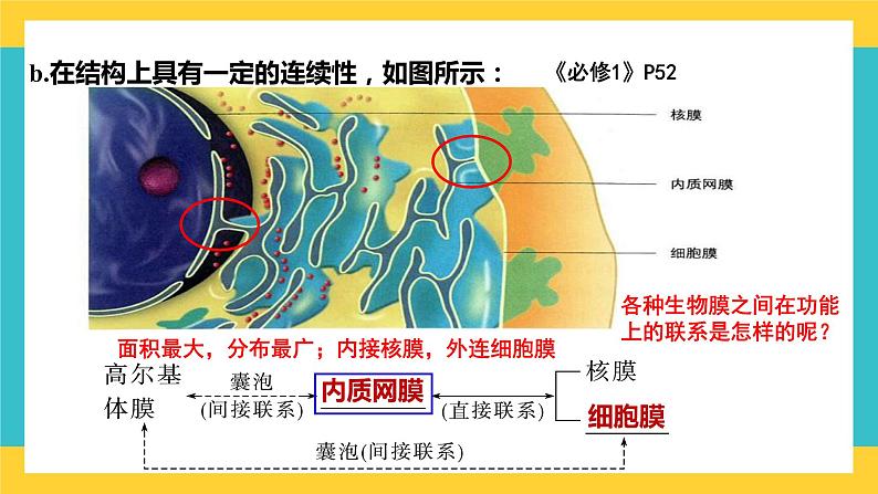 【高考一轮专题复习】高考生物专题复习——第7讲《细胞器之间的分工(（第2课时）》复习课件（全国通用）06