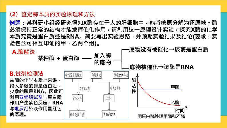 【高考一轮专题复习】高考生物专题复习——第11讲《降低化学反应活化能的酶》复习课件（全国通用）05