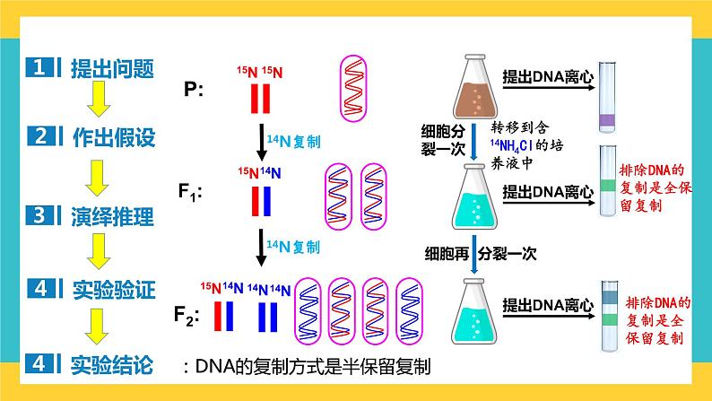 【高考一轮专题复习】高考生物专题复习——第27讲《DNA的复制》复习课件（全国通用）08