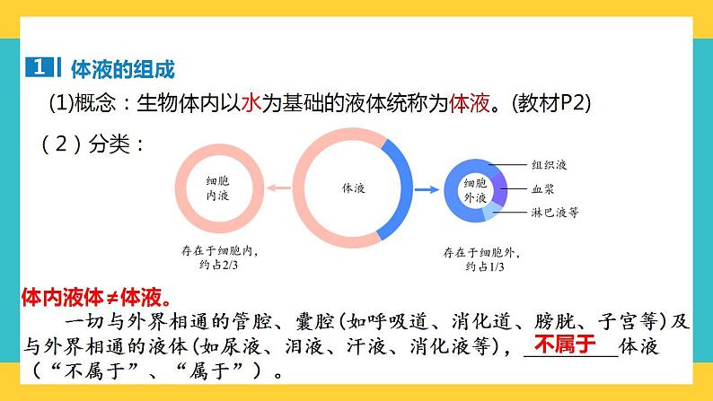 【高考一轮专题复习】高考生物专题复习——第35讲《人体的内环境与稳态》复习课件（全国通用）04