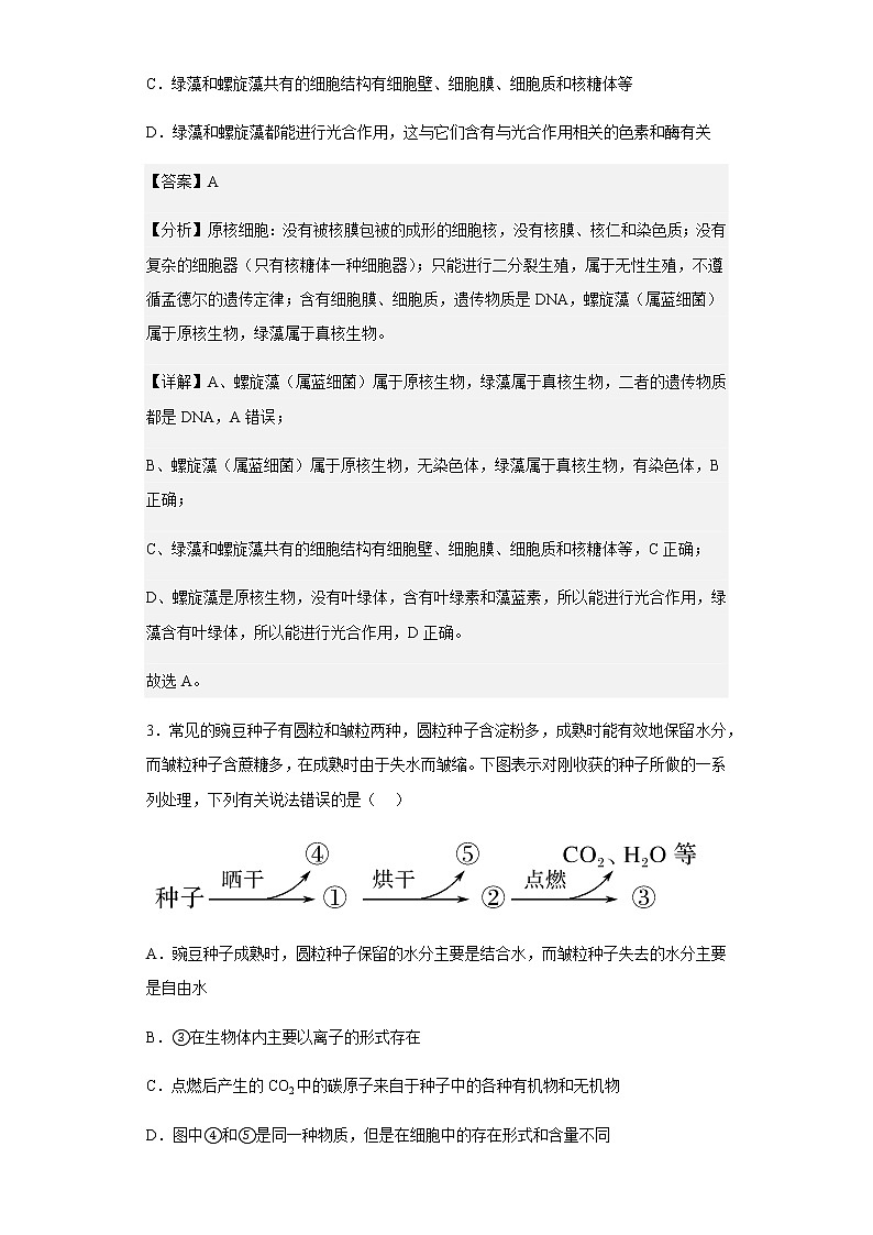 2022-2023学年河北省邢台市六校联考高一上学期期中生物试题含解析03