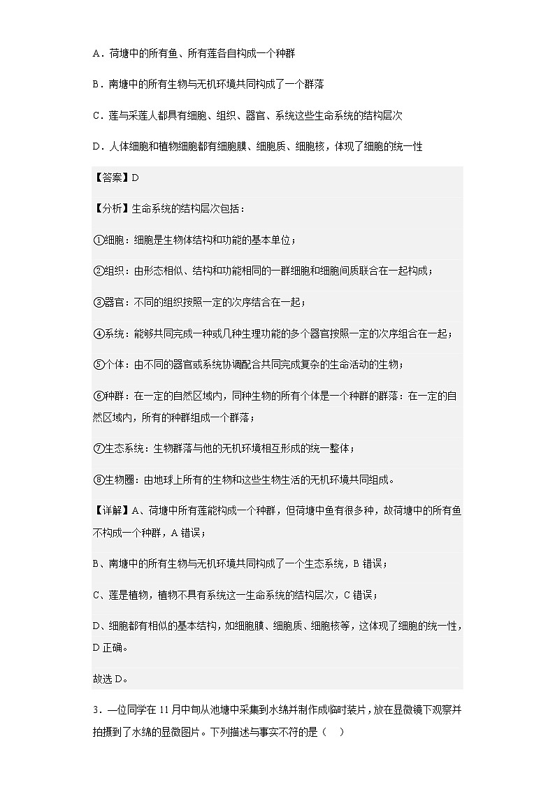 2022-2023学年河南省洛阳市高一上期期中生物试题含解析02