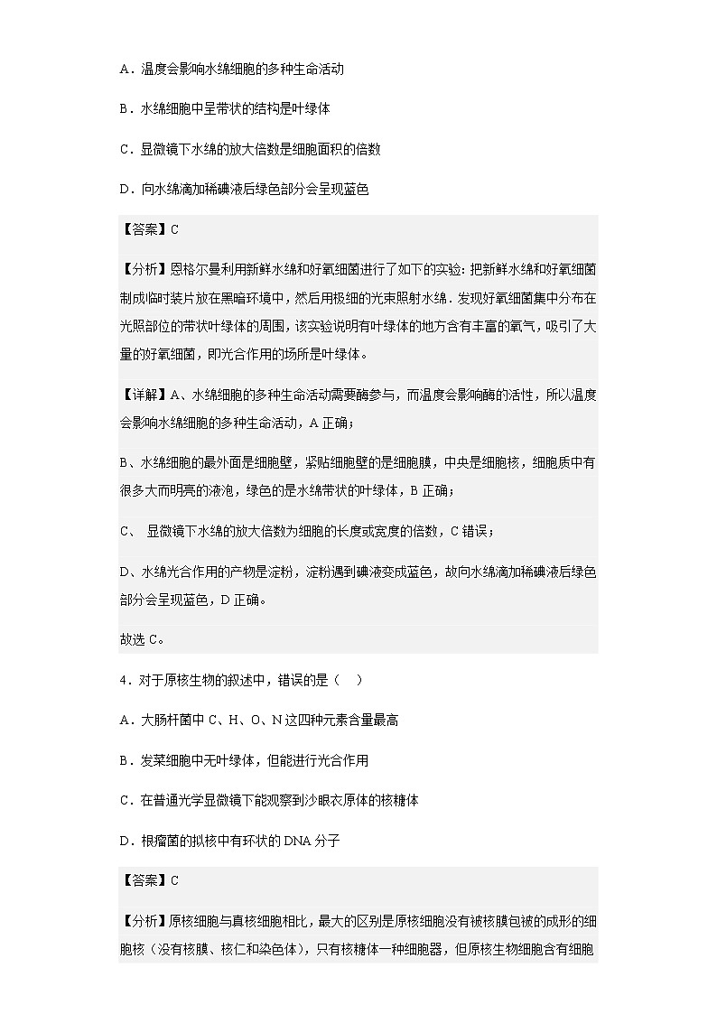 2022-2023学年河南省洛阳市高一上期期中生物试题含解析03